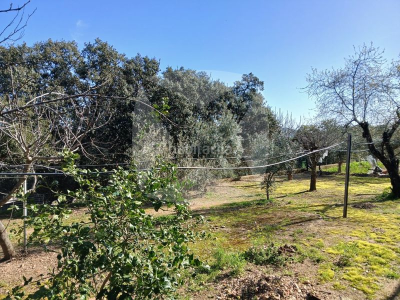 Foto a033916e-ce69-471a-89af-0aae1c46eecd. Xalet amb aparcament piscina a Campus Universitario Cáceres
