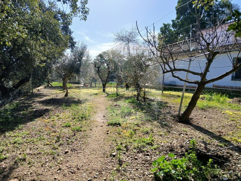 Foto b2b720c7-1031-491b-a901-d790c43ae29f. Xalet amb aparcament piscina a Campus Universitario Cáceres
