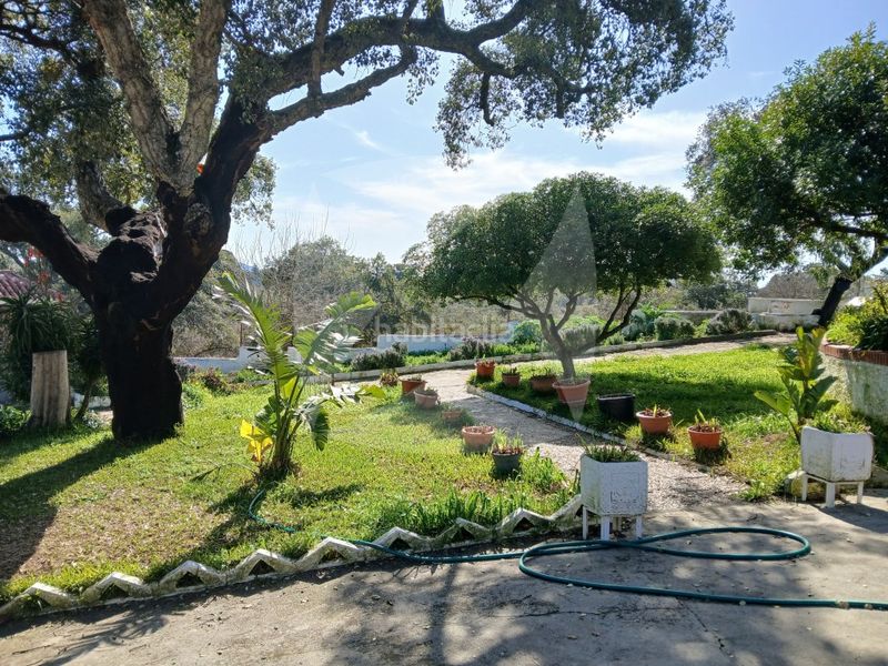 Foto cb80c3dc-c887-47c3-aecd-ffa4ec41ea02. Xalet amb aparcament piscina a Campus Universitario Cáceres