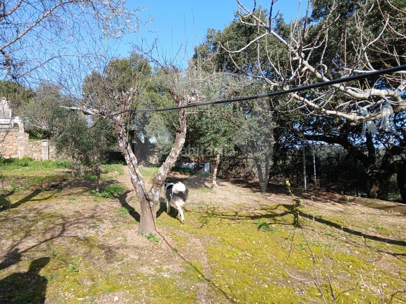Foto ed2a1e4c-3043-4c6b-b527-65e91b2f1858. Xalet amb aparcament piscina a Campus Universitario Cáceres