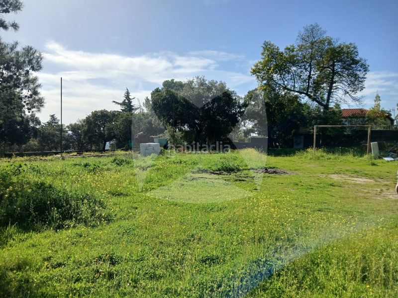 Foto eeb69f9a-3727-4f3e-8012-f4fa462a0214. Xalet amb aparcament piscina a Campus Universitario Cáceres