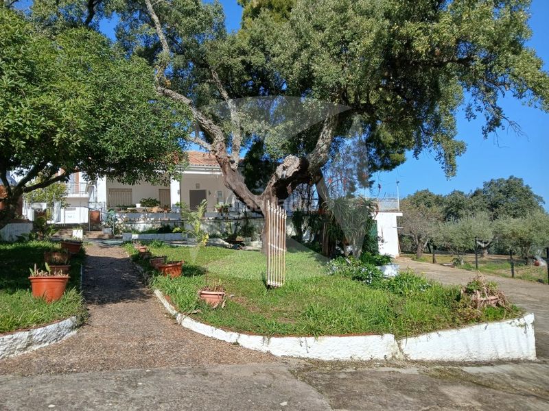 Foto f8f824fe-6a78-425c-ba7f-353500705c76. Xalet amb aparcament piscina a Campus Universitario Cáceres