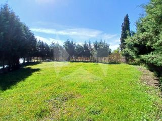 Chalet  Urbanizacion pinares los. Chalet rustico en venta en parcela de 5.021 m2. zona crta. de va