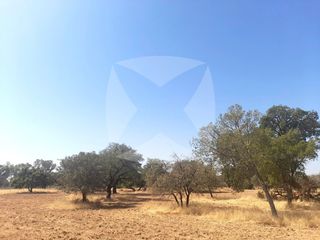 Wohngrundstück  Diseminados botoa. Parcela rústica de 5.000m2 en venta en bótoa