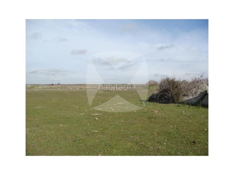 Foto c14a71a0-1b14-46bb-b687-6d5f306666ce. Maison dans Cumbre (La)