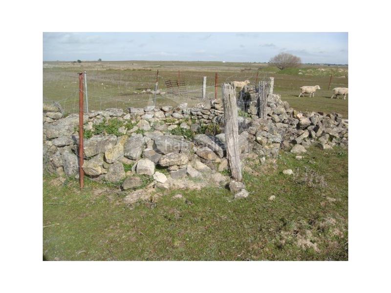 Foto dabb3170-bcb0-4646-9be5-8f38898ce765. Maison dans Cumbre (La)