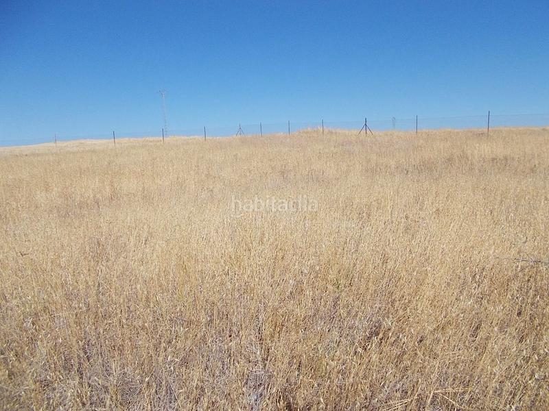 Foto 638e98ab-25e3-4410-bfdf-68e70417ab42. Terreny residencial a Este Mérida