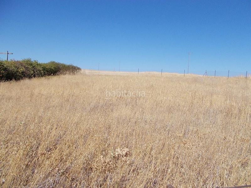 Foto f38b8ba4-7b26-485a-99ce-abe7c98e1764. Terreny residencial a Este Mérida