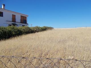 Residential Plot in Este