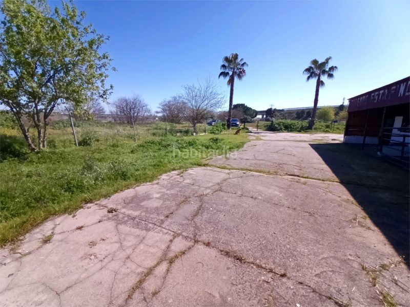 Foto 5ed52395-79f2-42cd-9eca-e650b10c82d2. Masia a Garrovilla (La)