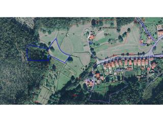 Terreny residencial a Canle oscuro 367. Finca de labradío 2296 m y eucaliptus en 2845 metros