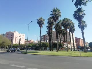 Location Local commercial à Avenida sinforiano madroñero 9. Fantástico local con 44 metros de terraza