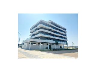Lloguer Estudi  N/a. Av. elvas