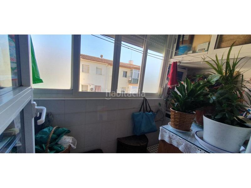 Foto d2887343-8e74-4333-8067-b6ae41d63e62. Piso 3 habitaciones la paz en Valdepasillas - La Paz - Huerta Rosales Badajoz