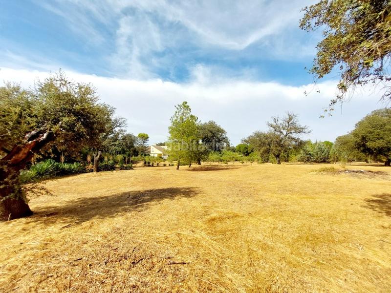 Foto 22993e62-3cbf-4acf-a1ae-c4ee70220c4e. Chalet con parcheggio in pedanías de Badajoz Badajoz