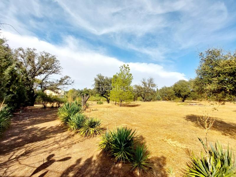 Foto 3b5fc3bd-d2b6-4e27-9a11-683f22ca534f. Chalet con parcheggio in pedanías de Badajoz Badajoz