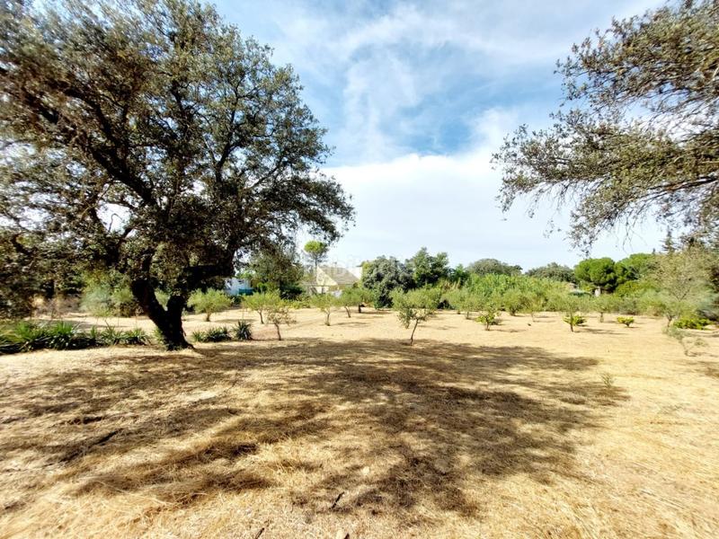 Foto 410bb1a6-3ccc-43cd-a5e5-c998e15e9dd4. Chalet con parcheggio in pedanías de Badajoz Badajoz