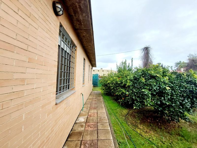 Foto 85c9a53f-1f73-4175-bdad-4a7d3ee57038. Chalet mit parking in Las Vaguadas Badajoz