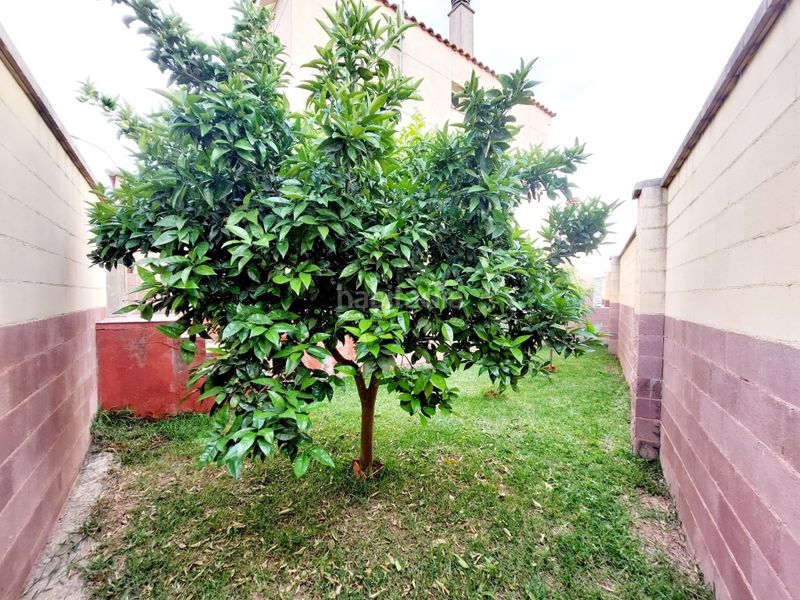 Foto 3b4480a6-a65d-4985-9388-5b7b04b07902. Casa adossada amb aparcament a Maria Auxiliadora - Barriada de Llera Badajoz