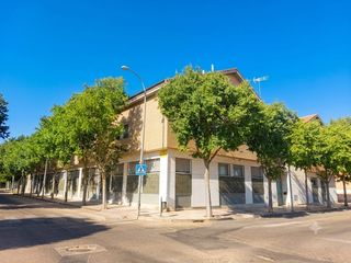 Piccolo appartamento  Camino del almendro. Ctra olivenza con garaje y trastero