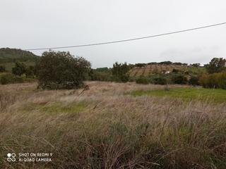 Terrain résidentiel à Codosera (La). Parcela rustica en la codosera