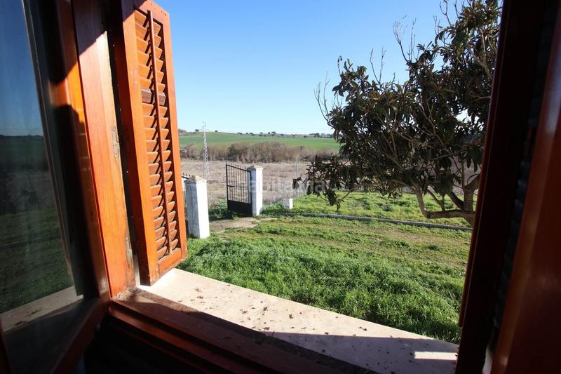 Foto 7b2fe1db-7f78-49ac-afbe-3a09b1f352f5. Masía fantástica finca con chalet en Carretera de Sevilla - Los Montitos Badajoz