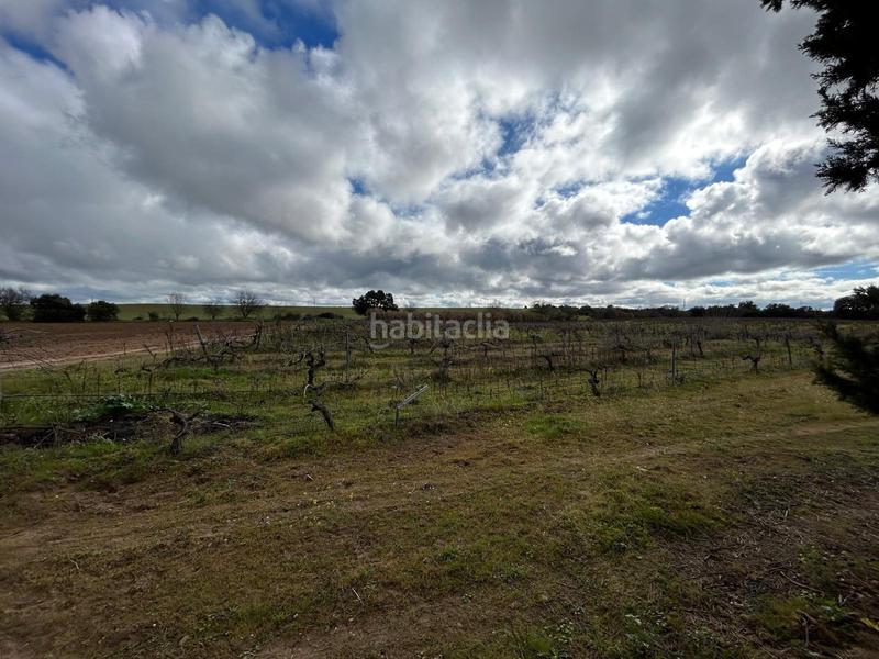 Foto f4449ab4-0eb7-4ba6-81eb-f3cb9a4e2a8d. Country house with pool in Casco Antiguo Badajoz