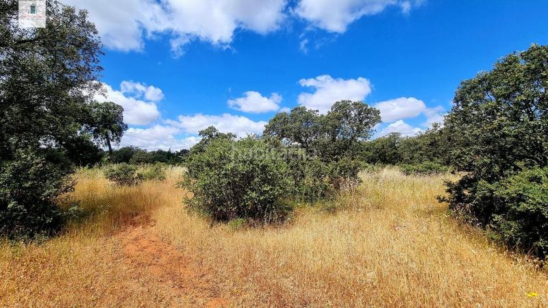 Foto 12eb6a2b-96f0-4a01-a1ff-3e584f91408c. Terreno residencial terreno de 5000 m2 en urbanización tres arroyos, en Badajoz