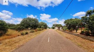 Terreny residencial a Carretera de Sevilla - Los Montitos. Terreno de 5000 m2 en urbanización tres arroyos, badajoz