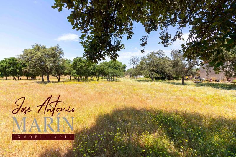 Foto 249be5fa-d09f-4a91-b504-e6fbc723e19a. Fondo rustico in pedanías de Badajoz Badajoz