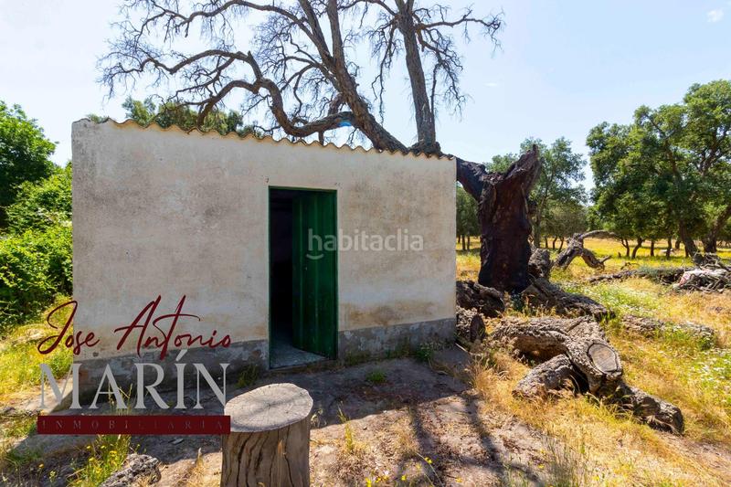 Foto 2873f4e1-a42a-464c-add2-0d6a4394d8ba. Fondo rustico in pedanías de Badajoz Badajoz