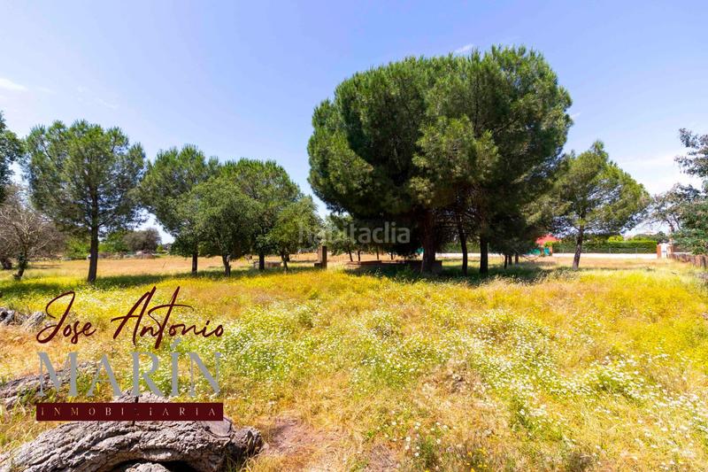 Foto 62581f7b-f21e-4585-a99b-4e4b1f0d65a6. Fondo rustico in pedanías de Badajoz Badajoz
