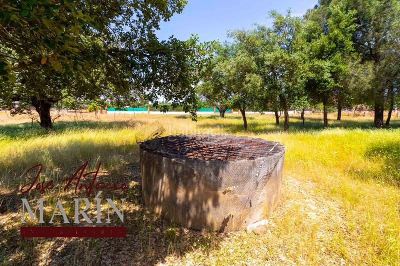 Foto 66ddcb67-73f2-4995-b8b0-2d0d9bb18a8a. Fondo rustico in pedanías de Badajoz Badajoz