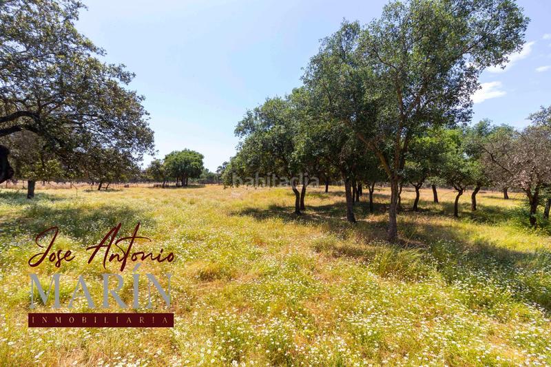 Foto 783829da-c0dc-4792-9c2b-6fff029aaab0. Fondo rustico in pedanías de Badajoz Badajoz