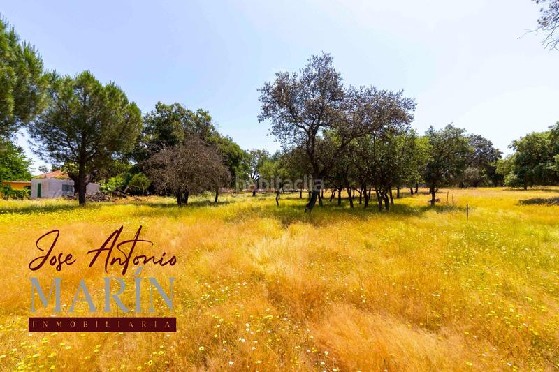 Foto 93535bab-7e52-4591-83d9-899a7b76c998. Fondo rustico in pedanías de Badajoz Badajoz