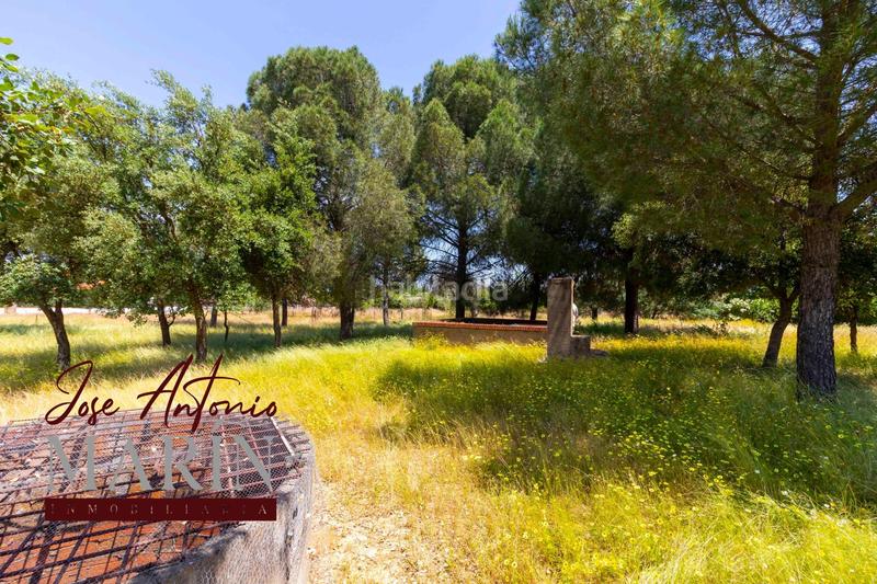 Foto 97ba6f51-a094-45d2-a98f-abc2e59c289f. Fondo rustico in pedanías de Badajoz Badajoz