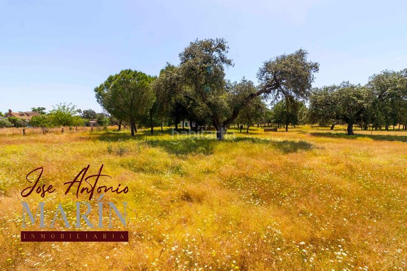 Foto 982c67c7-925f-4c94-928e-028a08dba207. Fondo rustico in pedanías de Badajoz Badajoz
