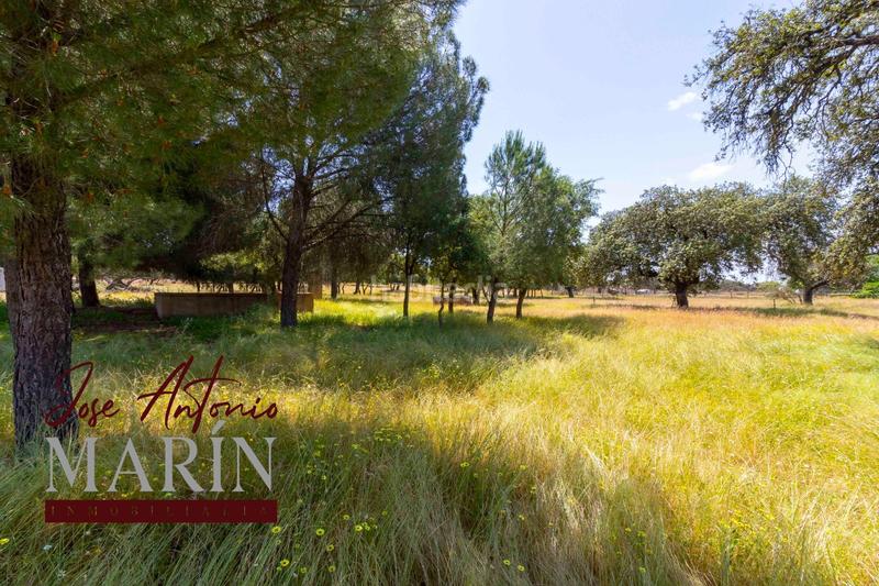 Foto d210cc0d-9e0b-4925-bda2-4df4b059a145. Fondo rustico in pedanías de Badajoz Badajoz