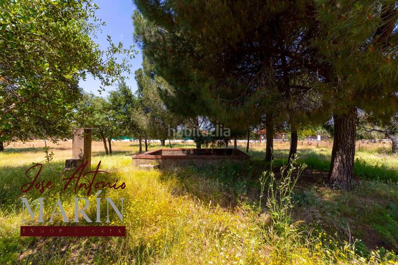 Foto e11ff523-9ccd-4199-80dc-43fe1e732bd3. Fondo rustico in pedanías de Badajoz Badajoz