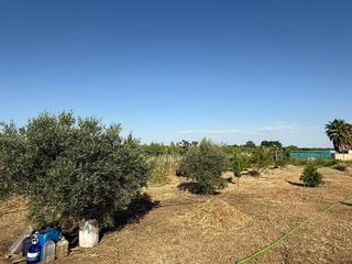 Terreny residencial a Pedanías de Badajoz. Parcela totalmente vallada en las casas aisladas de gévora