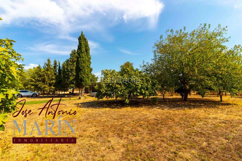 Foto 3ee302ba-2e17-4151-8ccc-2aa20fc8fba8. Casa espectacular chalet en las afueras urbanización campofrío en Badajoz