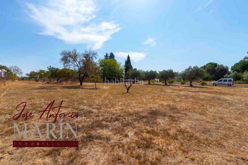 Foto c6cabb5c-c857-425e-9b92-09161d098f4a. Casa espectacular chalet en las afueras urbanización campofrío en Badajoz