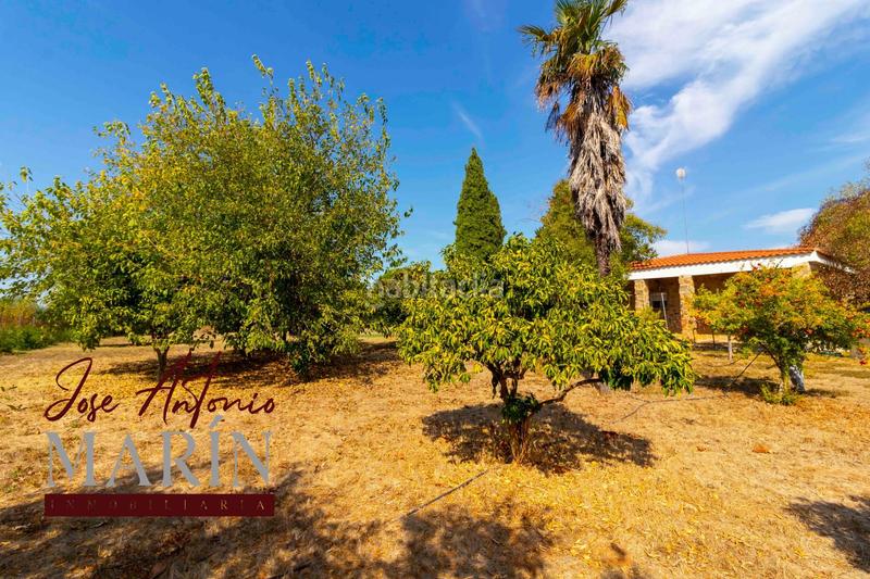 Foto c9db9fb6-176e-413f-aaa7-0f66ab3fe84e. Casa espectacular chalet en las afueras urbanización campofrío en Badajoz