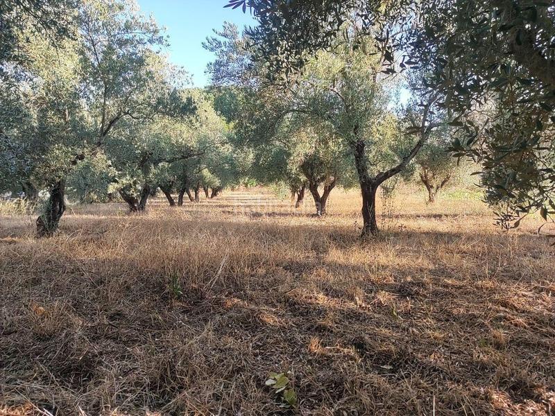 Foto 3ac4ba1e-84ec-4803-93f9-6c2c8ebacb07. Wohngrundstück in pedanías de Badajoz Badajoz