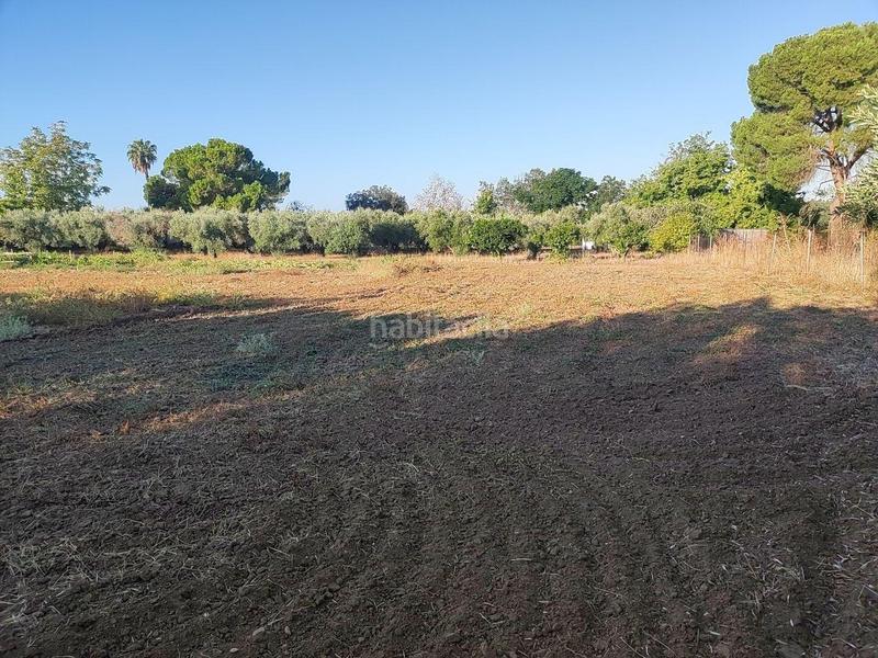 Foto 4db28cdc-9a32-43dd-8693-89d5d967fcc5. Wohngrundstück in pedanías de Badajoz Badajoz