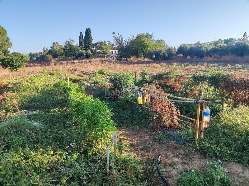 Foto 4ff64977-f19e-485e-a11d-85d33936efc2. Wohngrundstück in pedanías de Badajoz Badajoz