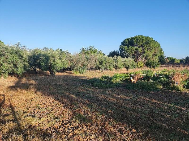 Foto 66b5709b-3317-4be0-8fdd-5b6633bb1e5a. Wohngrundstück in pedanías de Badajoz Badajoz