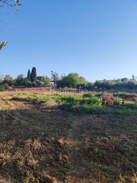 Foto 858cd631-68f0-4590-92d6-e65b8df39d98. Wohngrundstück in pedanías de Badajoz Badajoz