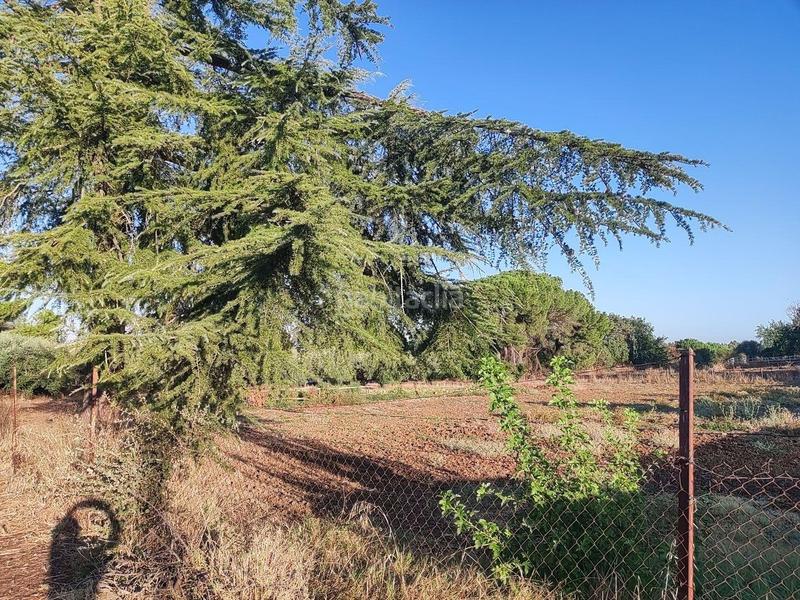 Foto 9f810ef3-9add-4790-afc2-98a268f5da12. Wohngrundstück in pedanías de Badajoz Badajoz