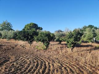 Terreno residenziale in Pedanías de Badajoz. Suelo rústico en venta